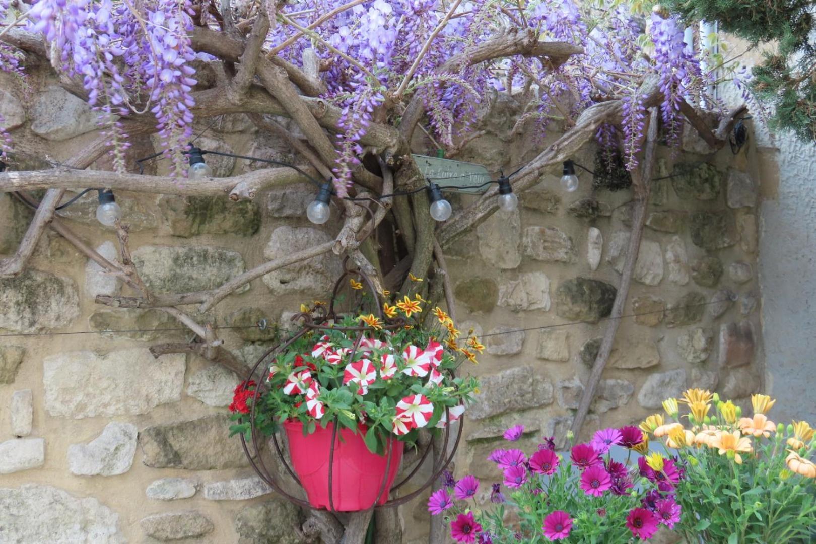 La Maison Wisteria Saint-Pantaléon-les-Vignes Extérieur photo
